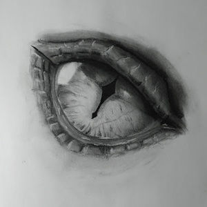 Meet your Posher, The art of joseph